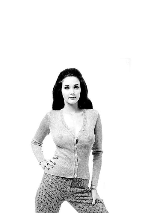 lynda carter xxx|lynda carter Search